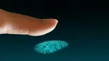 fingerprint