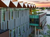 UBC Birds Nest building