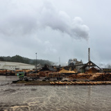 Sawmill